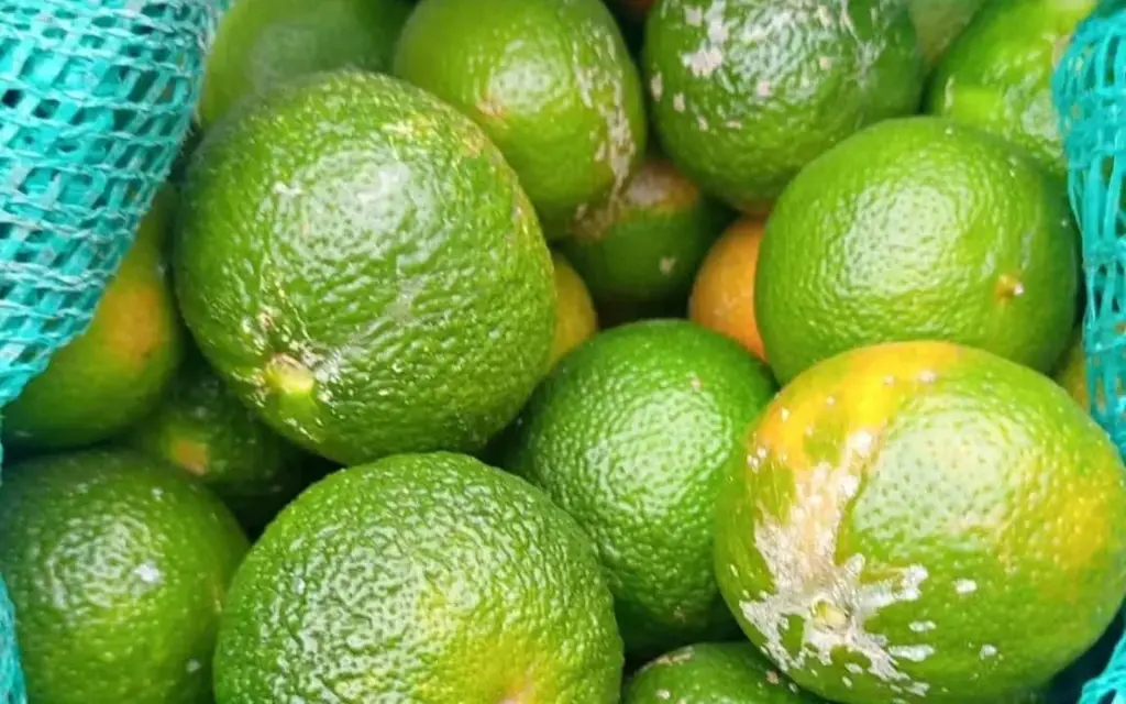 Mandarina Unidad