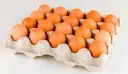Huevos Jumbo de Granja Cartón 