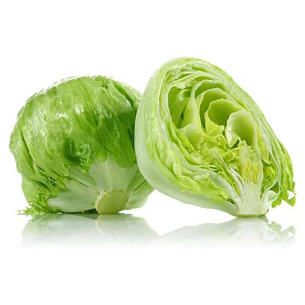 LECHUGA ARREPOLLADA UNIDAD
