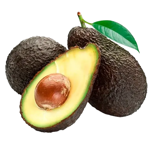 Aguacate Guatemalteco unidad