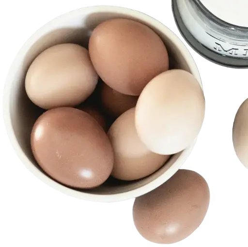 Huevos de granja grande unidad