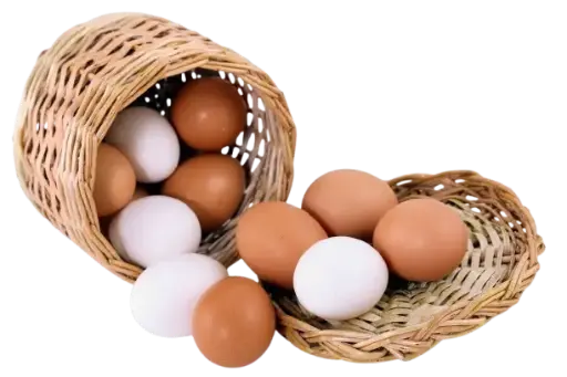 Huevos de granja grande 6X1