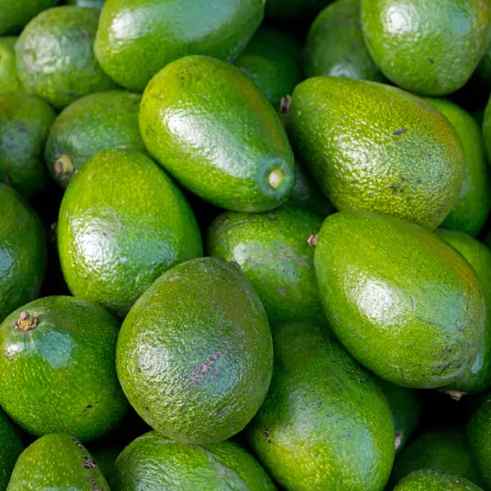 Aguacate Nacional unidad