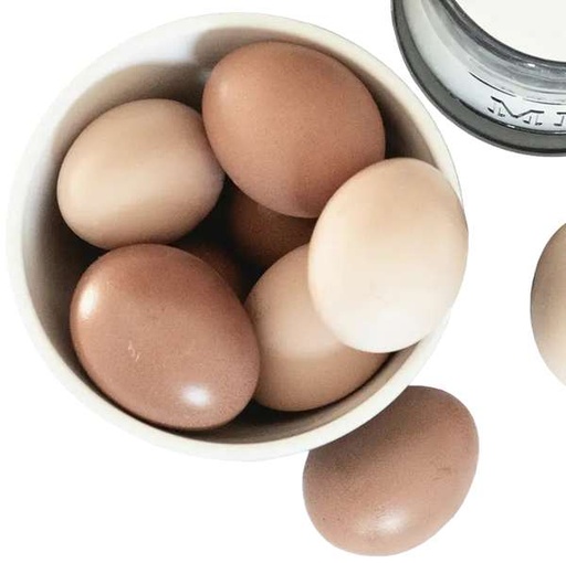 Huevos de granja grande unidad