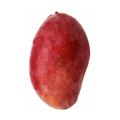 MANGO PANADES UNIDAD